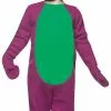 Barney And Friends-Barney Toddler Costume -Classic Horror Store 32399