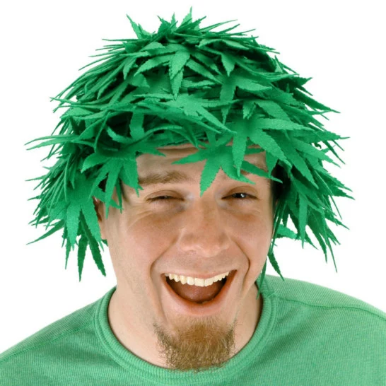 Pot Head Adult Wig 3 Pot Head Adult Wig