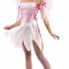 Blush Fairy Adult Costume -Classic Horror Store 61604