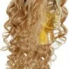 Alice In Wonderland Movie - Alice Wig Adult -Classic Horror Store 68253