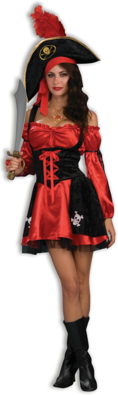 Racy Pirate Lady Adult Costume 3 Racy Pirate Lady Adult Costume
