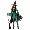 Emerald Witch Adult Costume 1 Emerald Witch Adult Costume -Classic Horror Store CCC 01092