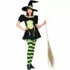 The Emerald Witch Adult Costume 1 The Emerald Witch Adult Costume -Classic Horror Store CIN 598