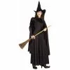 Classic Witch Adult Costume -Classic Horror Store FOR 58421