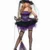 Womens Sexy Spider Witch Costume -Classic Horror Store MH0010