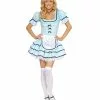 Sexy Alice In Wonderland Looking Glass Womens Costume -Classic Horror Store RM4160
