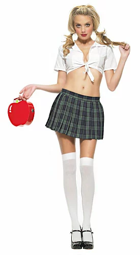 Sexy Plaid School Girl Costume 3 Sexy Plaid School Girl Costume