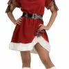 Ms. Santa Costume